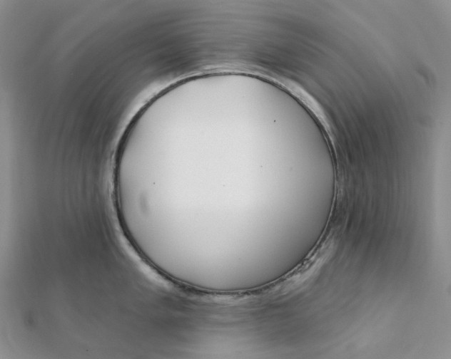 X0000112081005200908251100