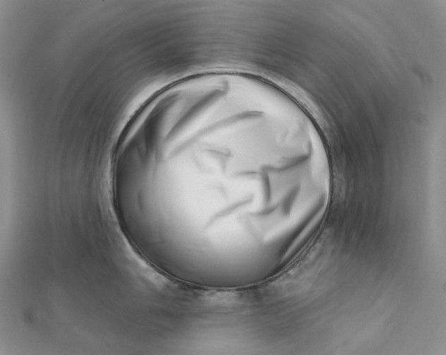 X0000112081006200908251100