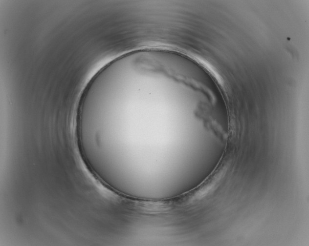 X0000112081007200908251100