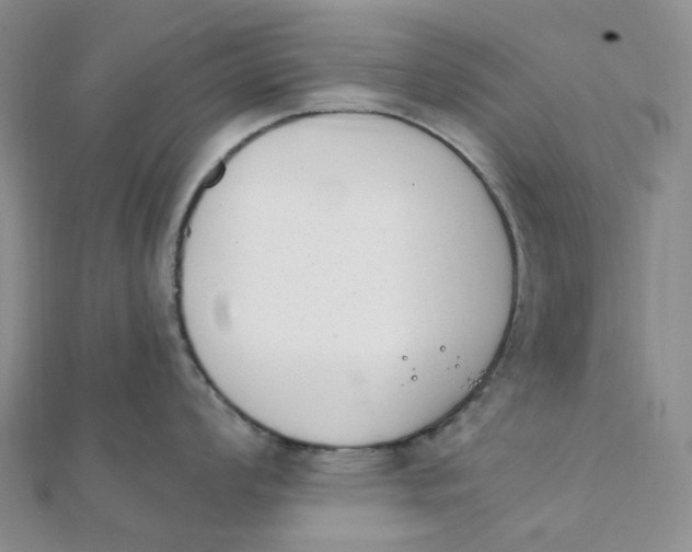 X0000112081008200908251100