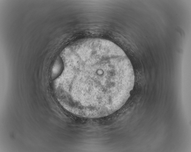 X0000112081009200908251059