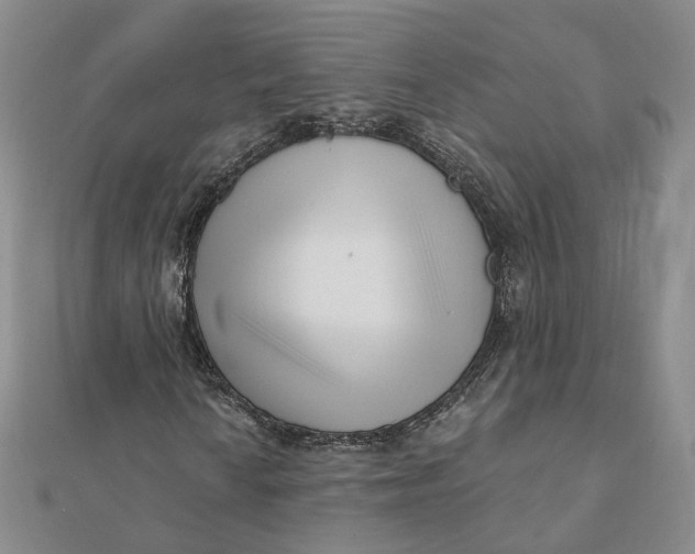 X0000112081010200908251059