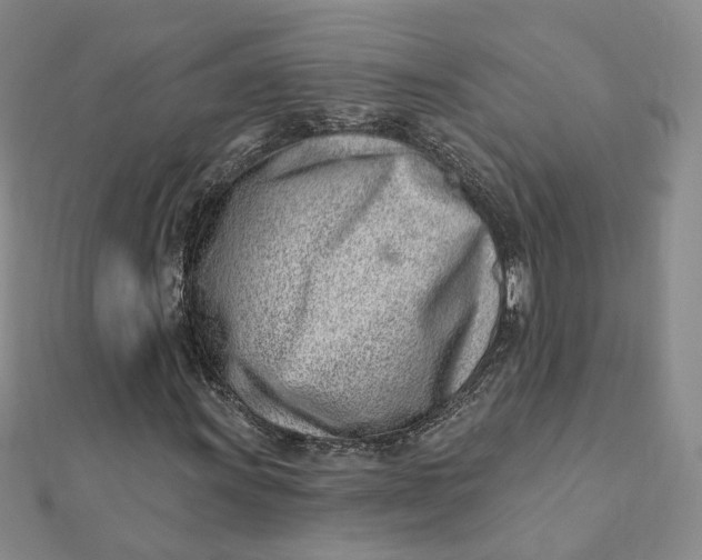 X0000112081011200908251059