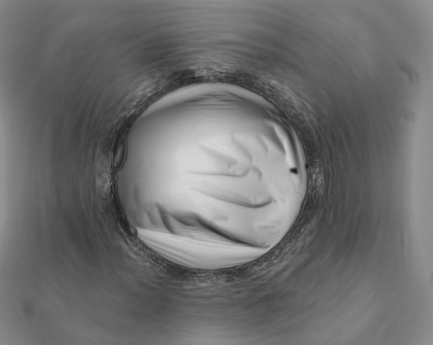 X0000112081012200908251059