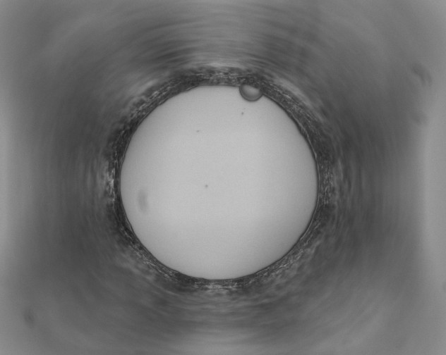 X0000112081013200908251059