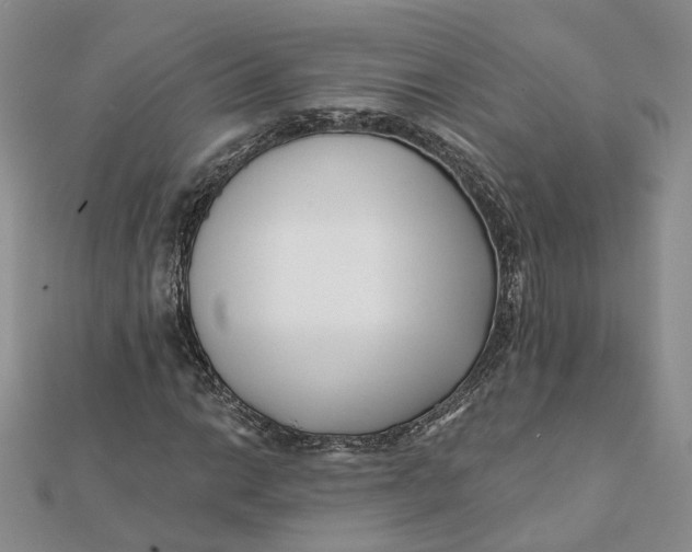 X0000112081014200908251059