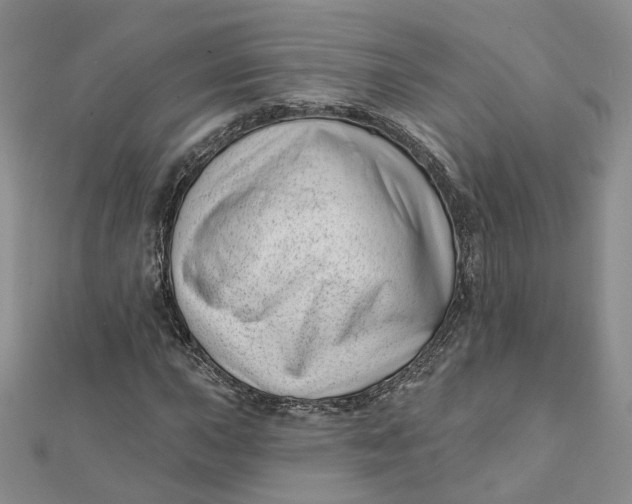 X0000112081015200908251059