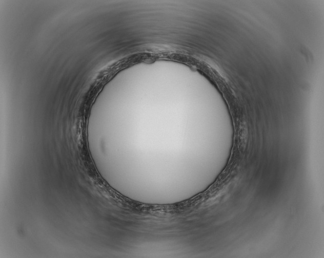 X0000112081016200908251059