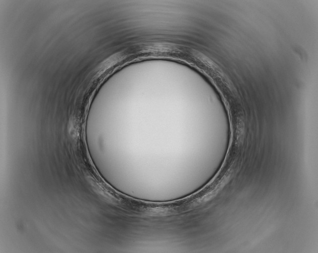 X0000112081017200908251059