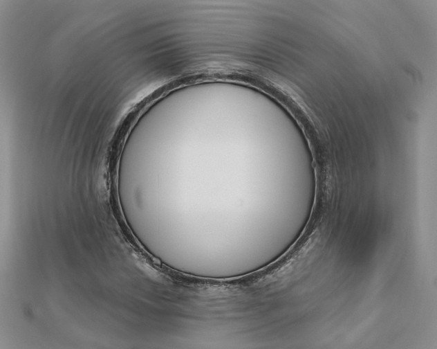 X0000112081018200908251100