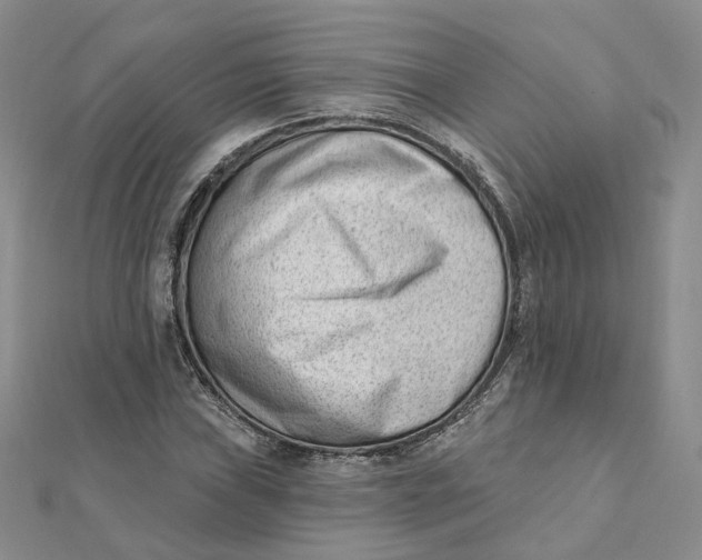 X0000112081019200908251100