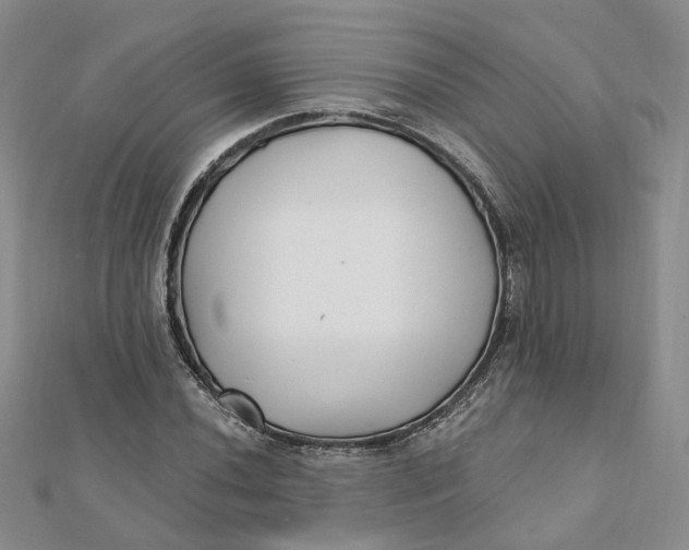 X0000112081020200908251100