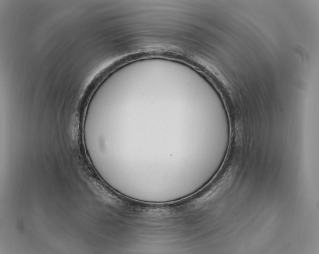 X0000112081021200908251100