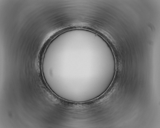 X0000112081022200908251100