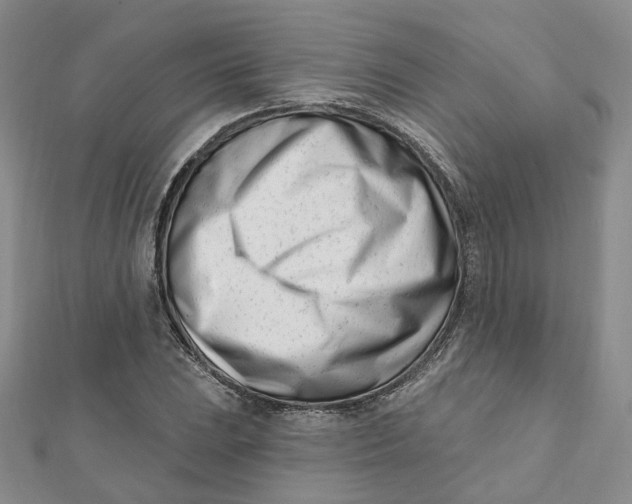 X0000112081023200908251100