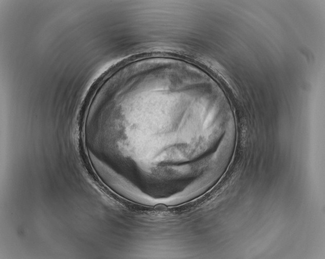 X0000112081024200908251100