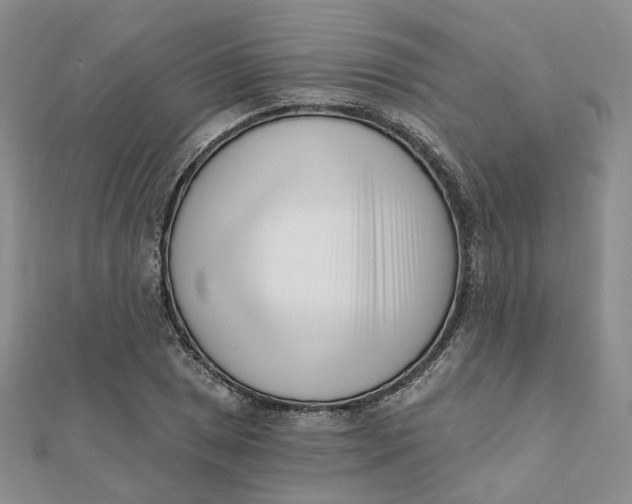 X0000112081025200908251100