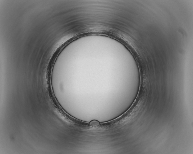 X0000112081026200908251100