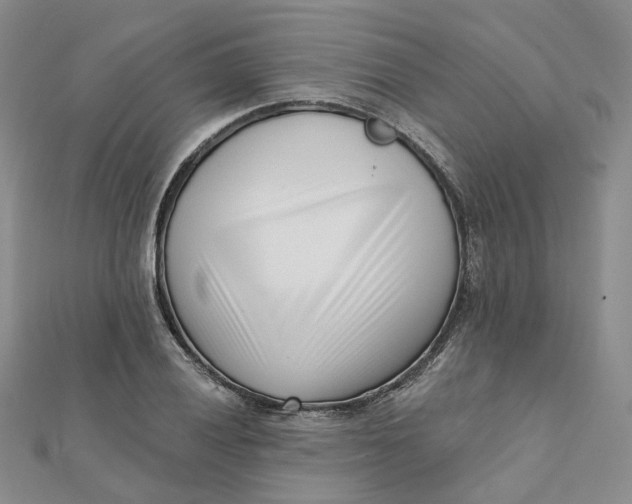 X0000112081028200908251100