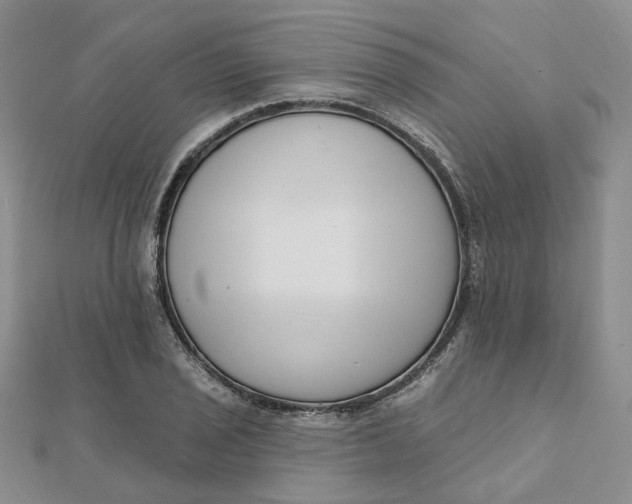 X0000112081029200908251100