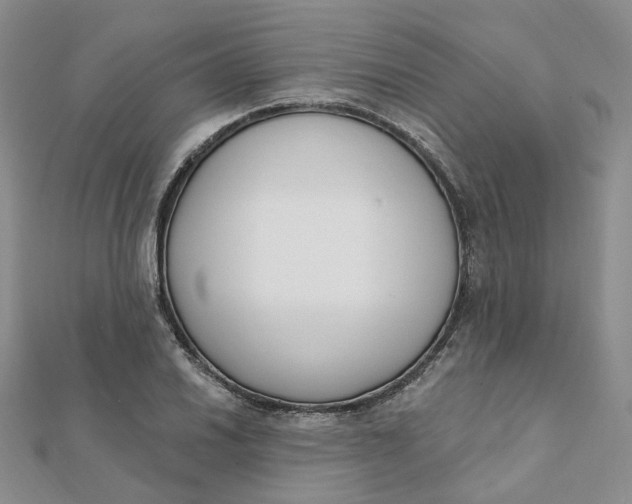 X0000112081030200908251100