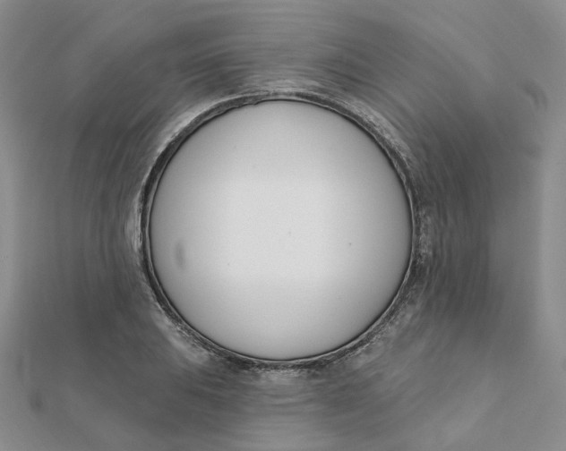 X0000112081031200908251100