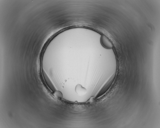 X0000112081032200908251100