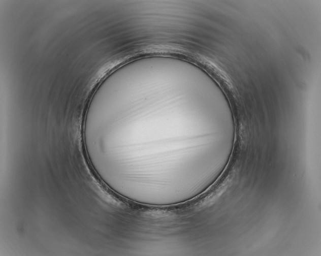 X0000112081033200908251100