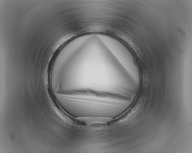 X0000112081034200908251100