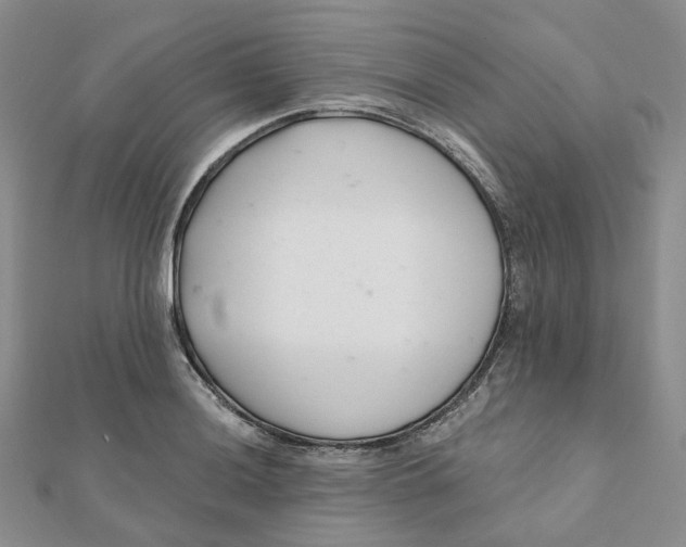 X0000112081036200908251100