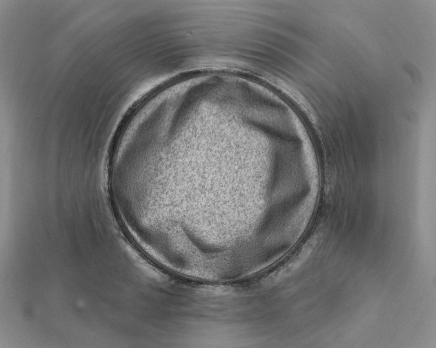 X0000112081037200908251100