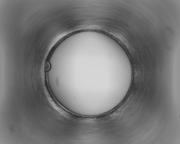 X0000112081038200908251100