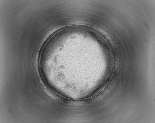 X0000112081039200908251100