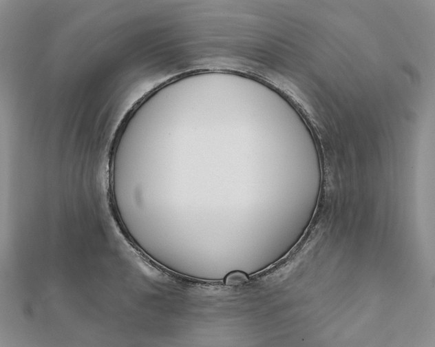 X0000112081040200908251100