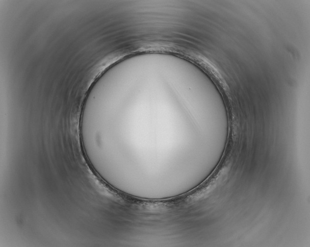 X0000112081041200908251100