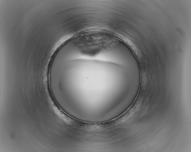 X0000112081042200908251100