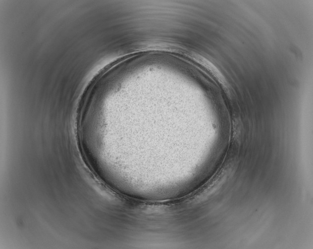 X0000112081043200908251100