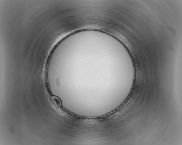 X0000112081044200908251100