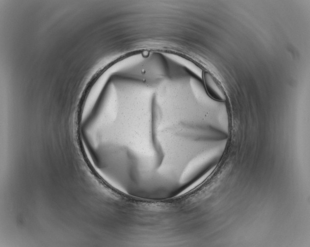 X0000112081045200908251100