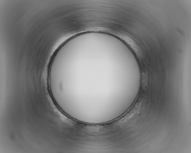 X0000112081046200908251100