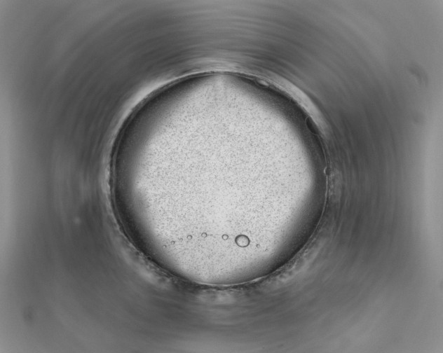 X0000112081051200908251100