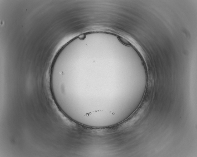 X0000112081053200908251100