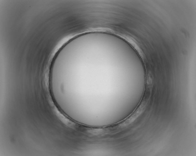 X0000112081054200908251100