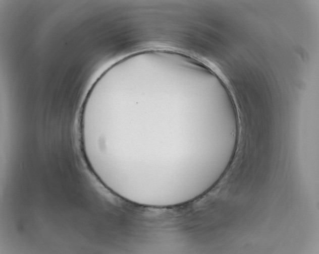 X0000112081056200908251100