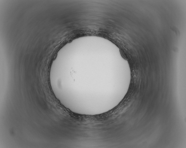 X0000112081057200908251059