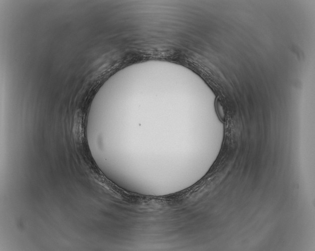 X0000112081058200908251059