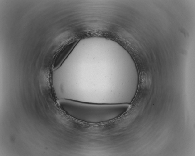 X0000112081060200908251059