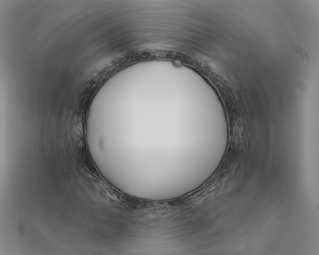 X0000112081062200908251059