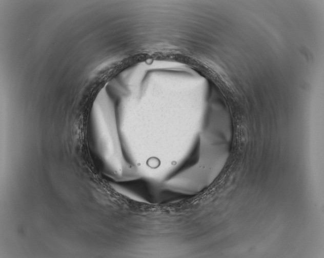 X0000112081063200908251059