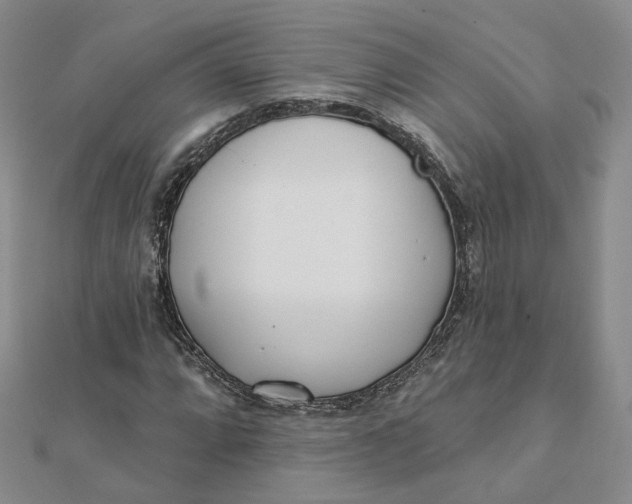 X0000112081064200908251059